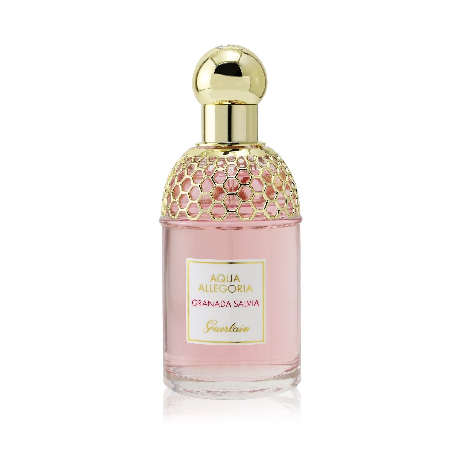 Guerlain Aqua Allegoria Granada Salvia Eau De Toilette Spray  125ml/4.2oz